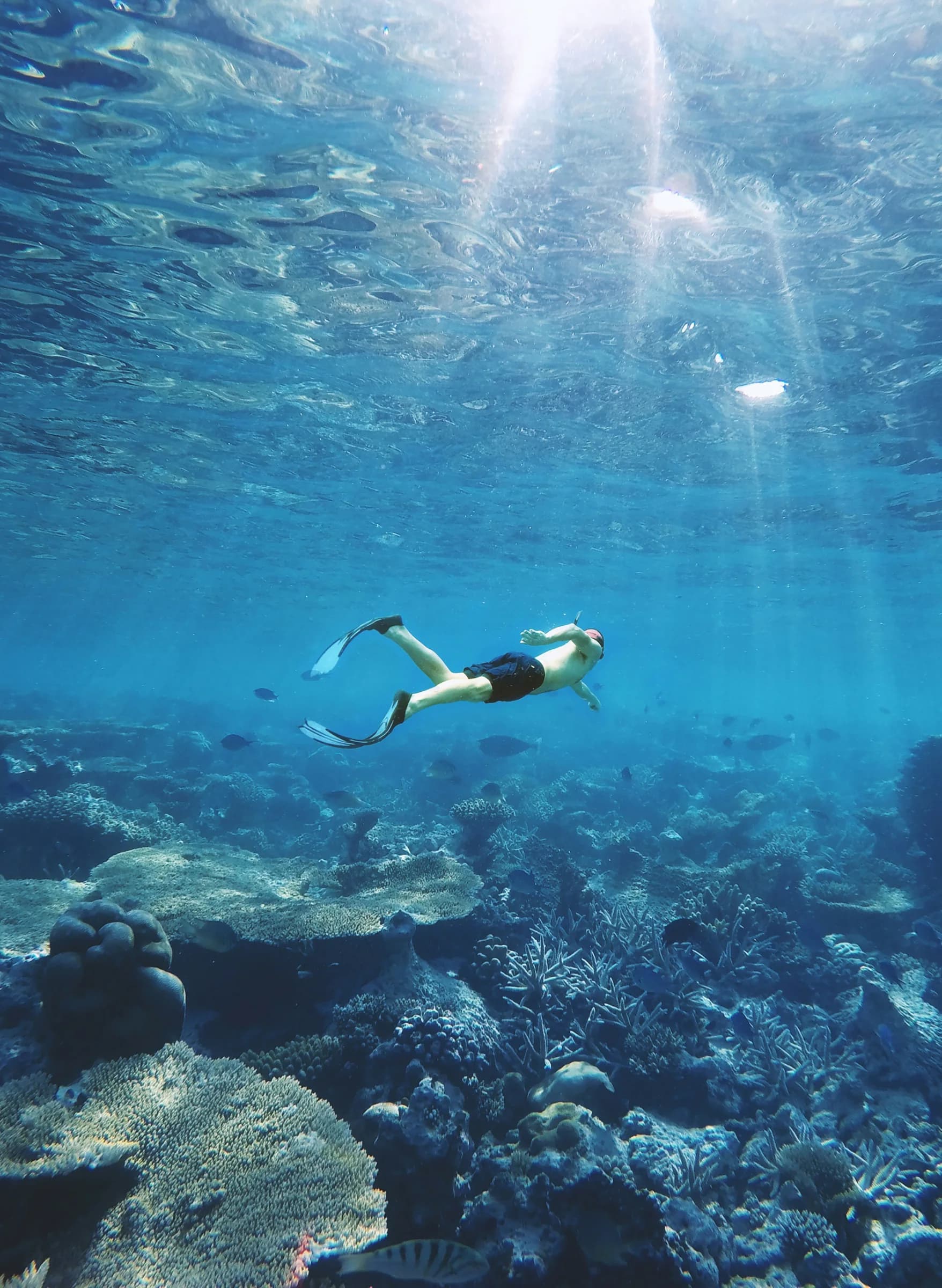 South Zanzibar → Kendwa / Nungwi — 2