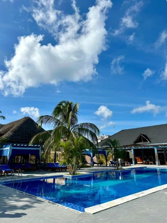 Our standard in Zanzibar,  — 3