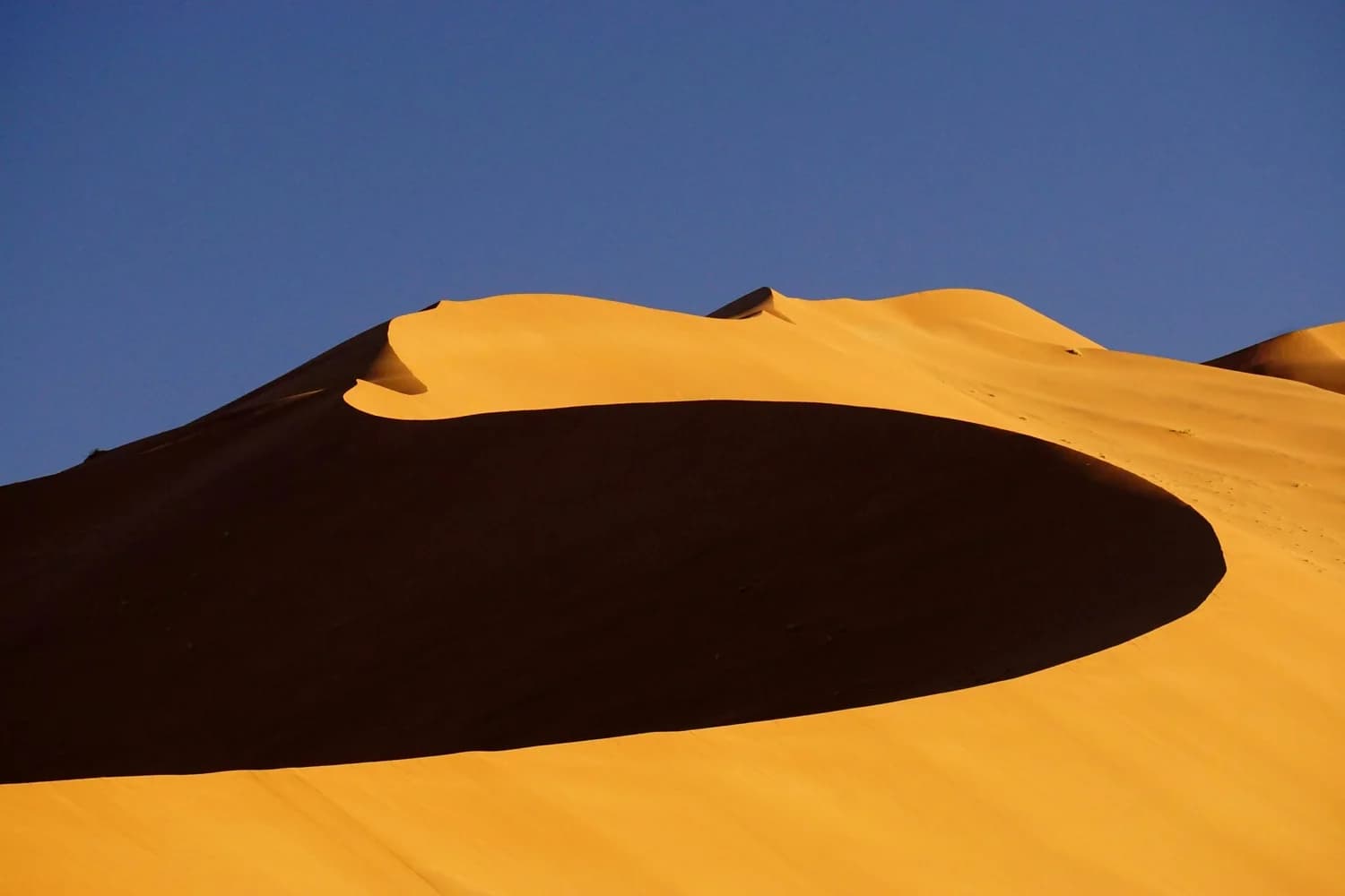 Gobi desert