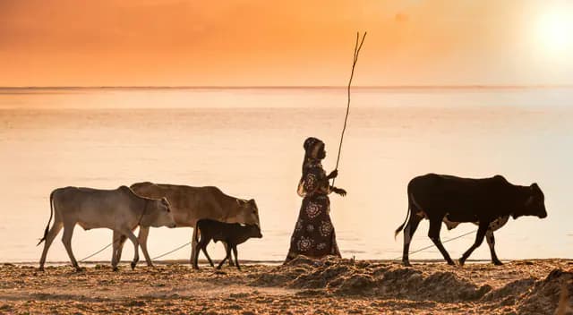 South-east Zanzibar — 1