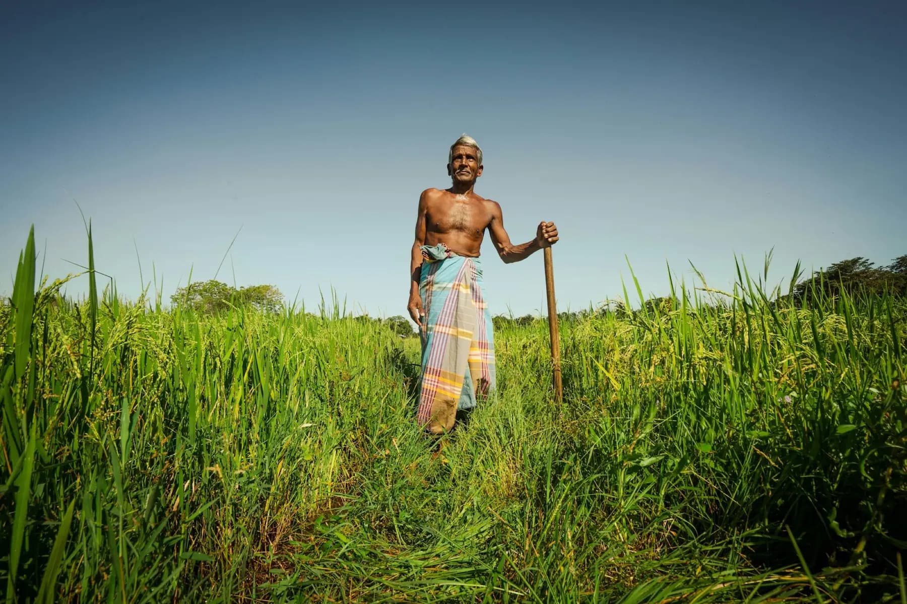 Local life in Sri Lanka